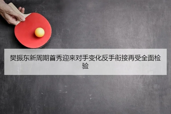 樊振东新周期首秀迎来对手变化反手衔接再受全面检验
